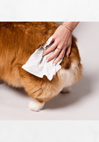 Mokre maramice za pse