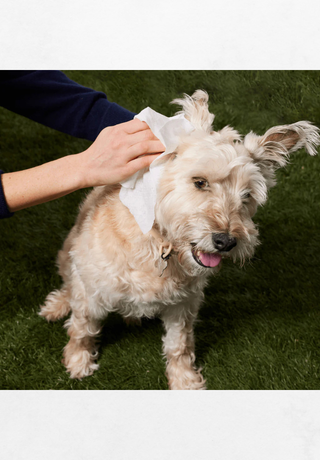 Mokre maramice za pse