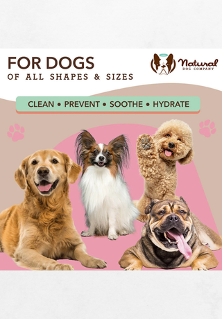 Mokre maramice za pse