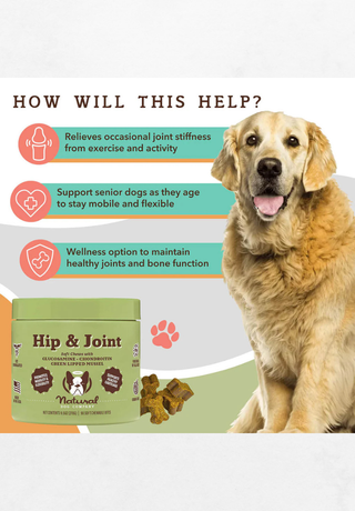 Dodatak prehrani za pse za zglobove