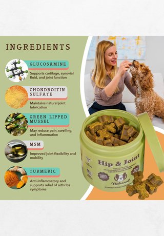 Dodatak prehrani za pse za zglobove