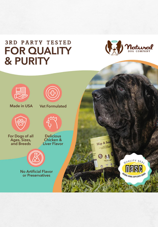 Dodatak prehrani za pse za zglobove