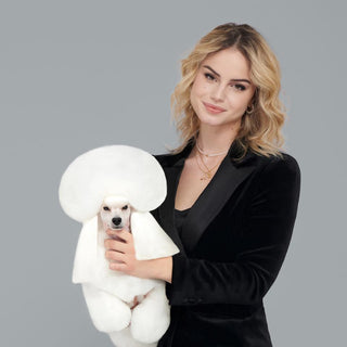 Rezervacija za: Poodle Power Weekend s Gaiom Ferruzzi 11-12.10.2025, Zagreb