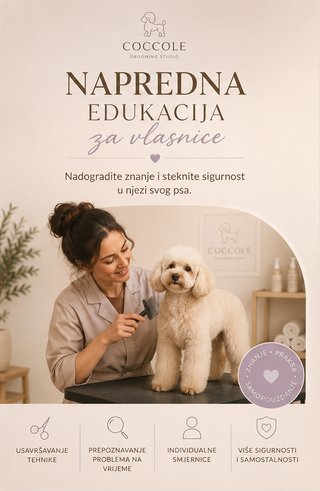 Advanced edukacija za vlasnike pasa