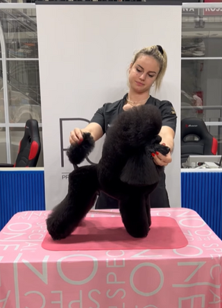 Rezervacija za: Poodle Power Weekend s Gaiom Ferruzzi 11-12.10.2025, Zagreb